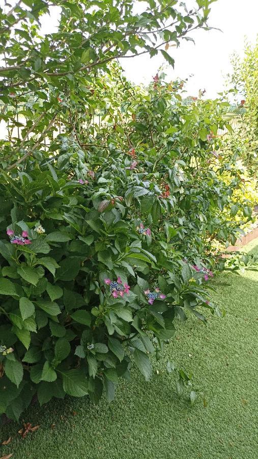 La Cle De Vos Reves Bed & Breakfast Orthevielle Dış mekan fotoğraf