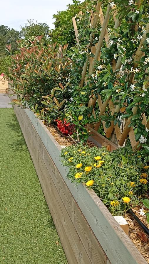 La Cle De Vos Reves Bed & Breakfast Orthevielle Dış mekan fotoğraf