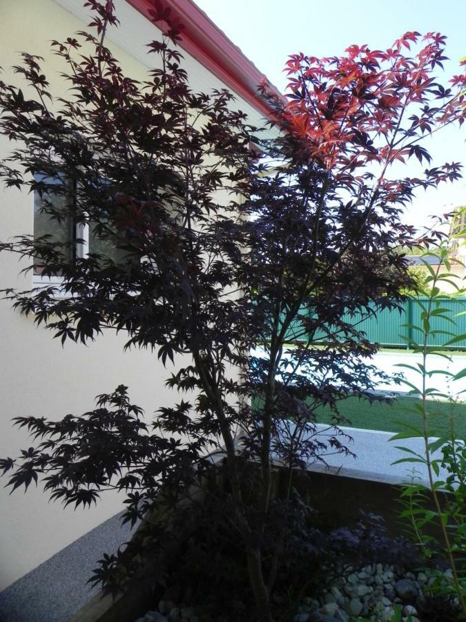 La Cle De Vos Reves Bed & Breakfast Orthevielle Dış mekan fotoğraf